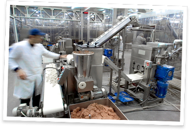 food-processing-seasoning